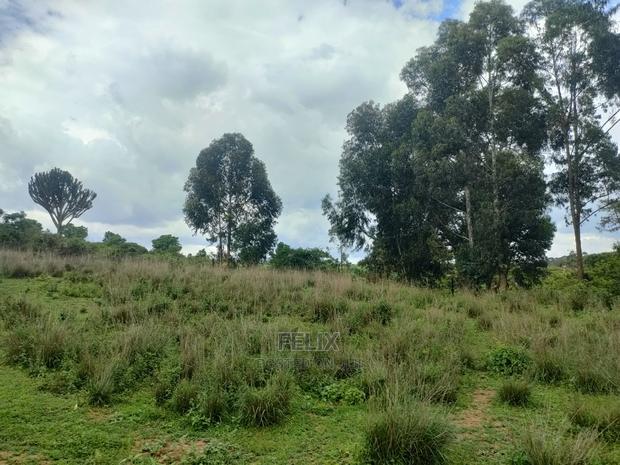 4 Acres Chaka/Kalicheni - thumbnail 4