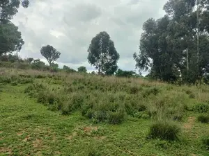 4 Acres Chaka/Kalicheni