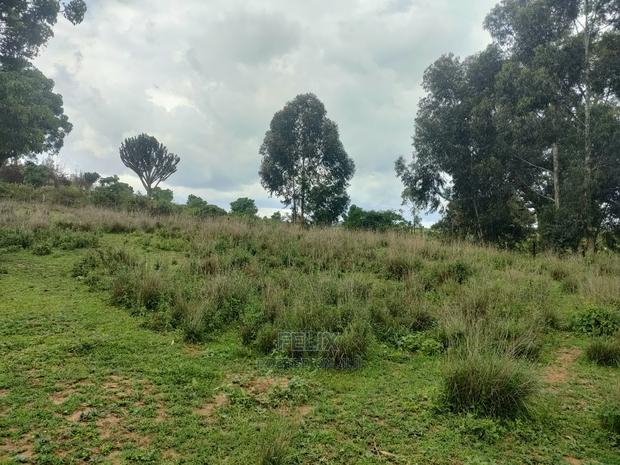4 Acres Chaka/Kalicheni - thumbnail 5
