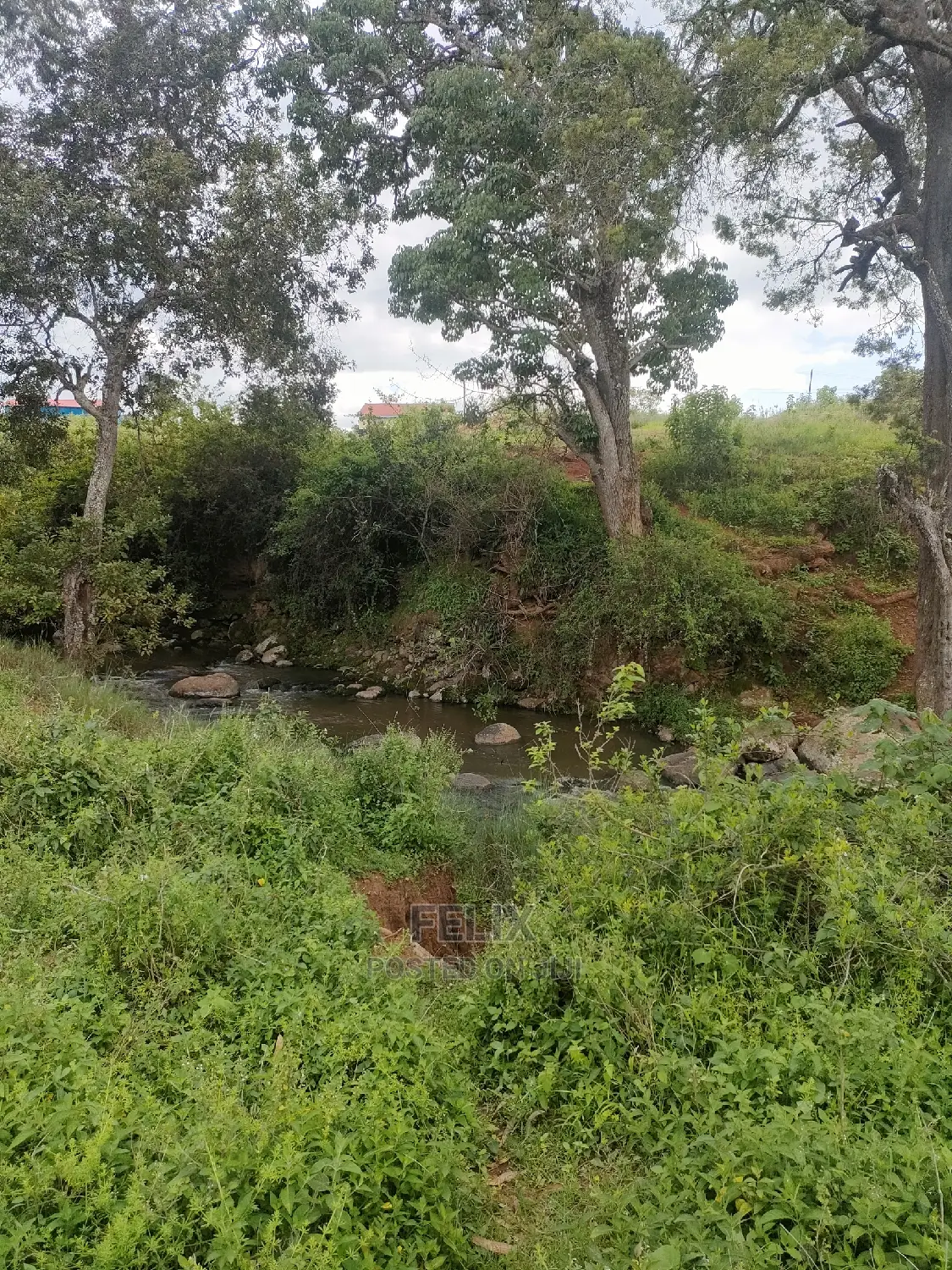 4 Acres Chaka/Kalicheni