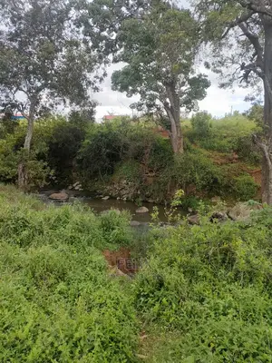4 Acres Chaka/Kalicheni