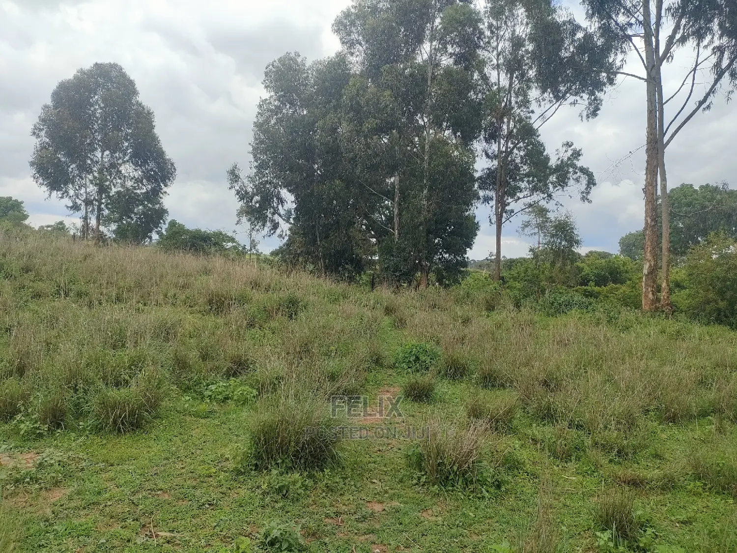 4 Acres Chaka/Kalicheni