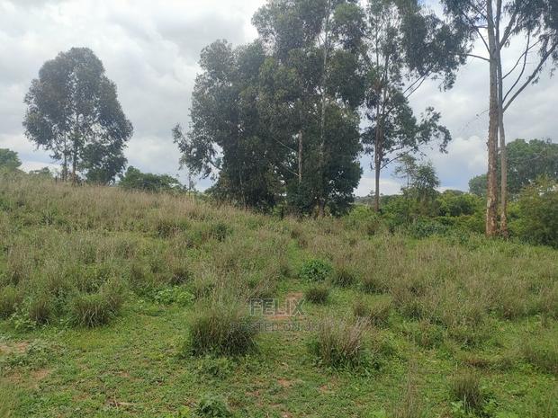 4 Acres Chaka/Kalicheni - thumbnail 6