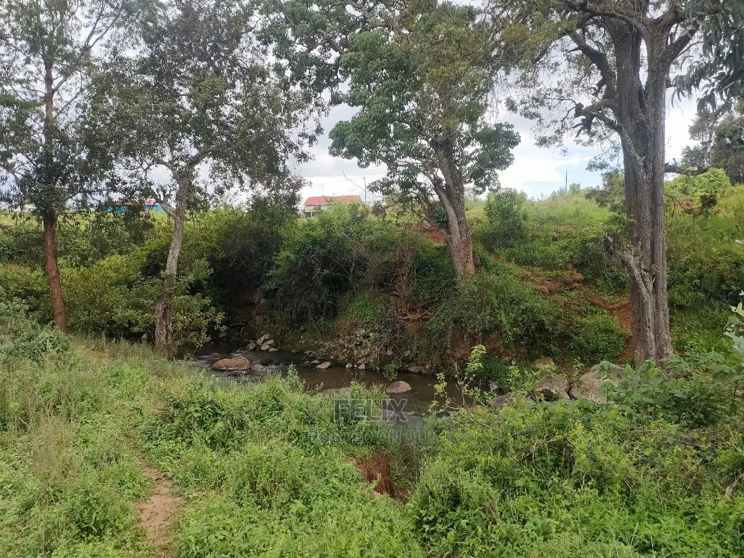 4 Acres Chaka/Kalicheni