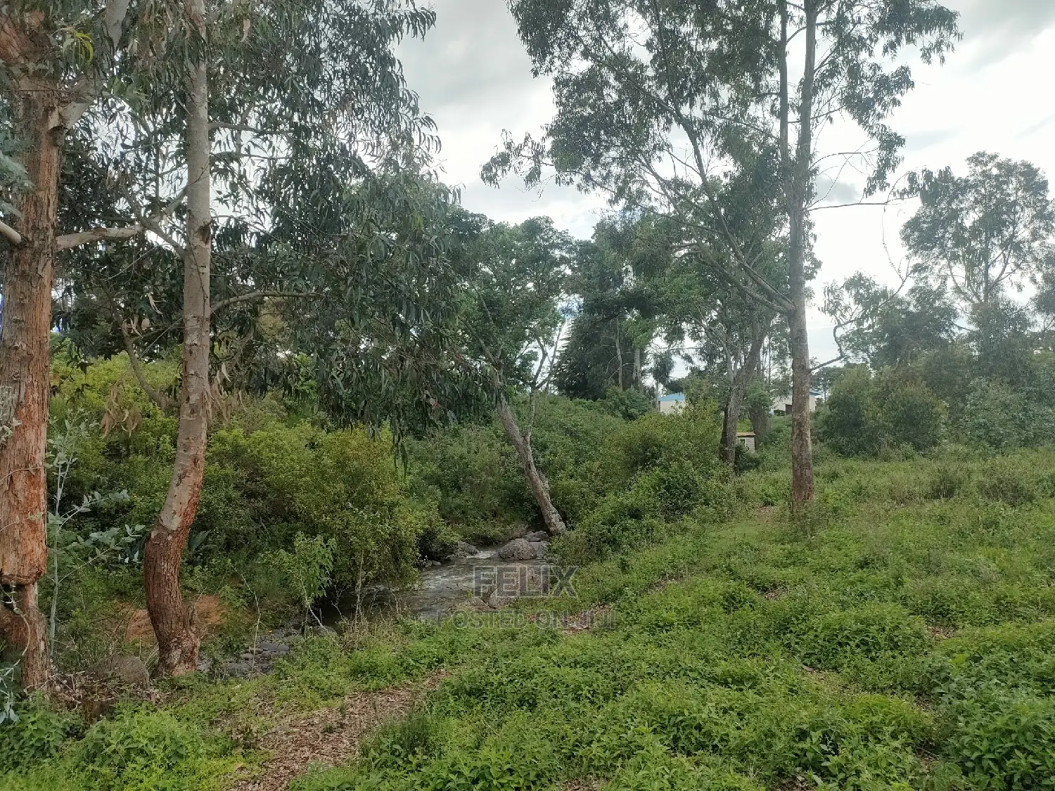 4 Acres Chaka/Kalicheni