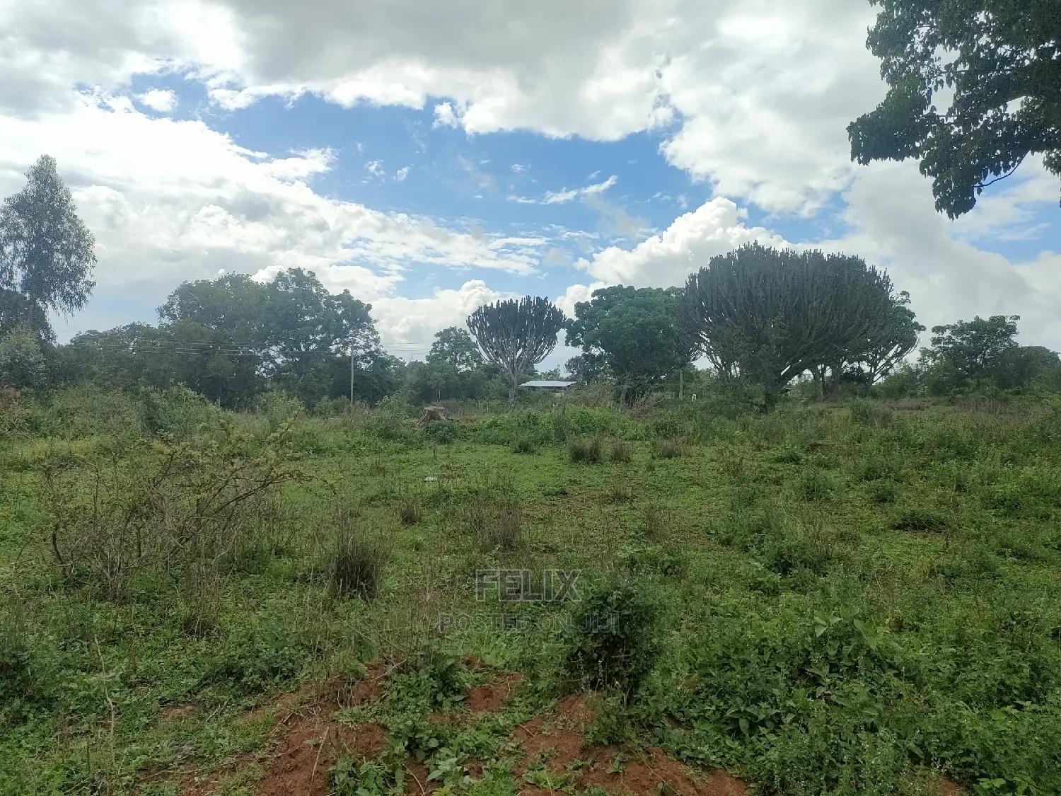 4 Acres Chaka/Kalicheni