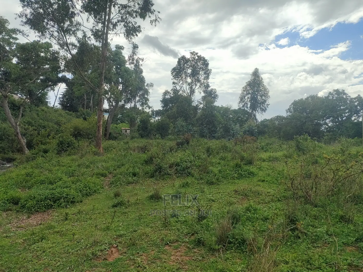 4 Acres Chaka/Kalicheni