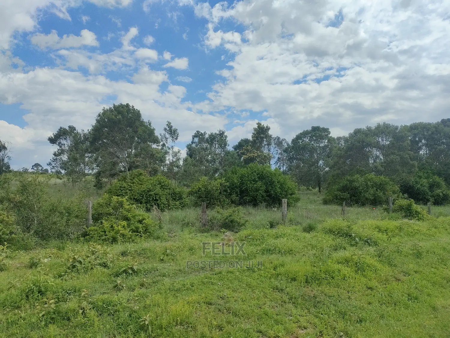 4 Acres Chaka/Kalicheni in Kieni Land & Plots for Sale, Felix Wanjohi
