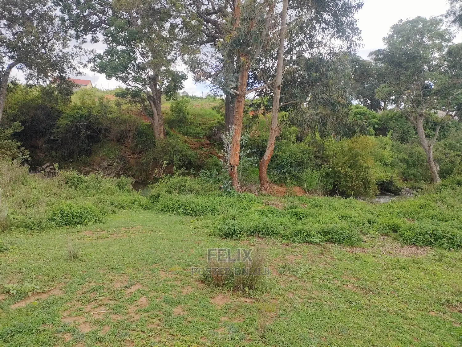 4 Acres Chaka/Kalicheni