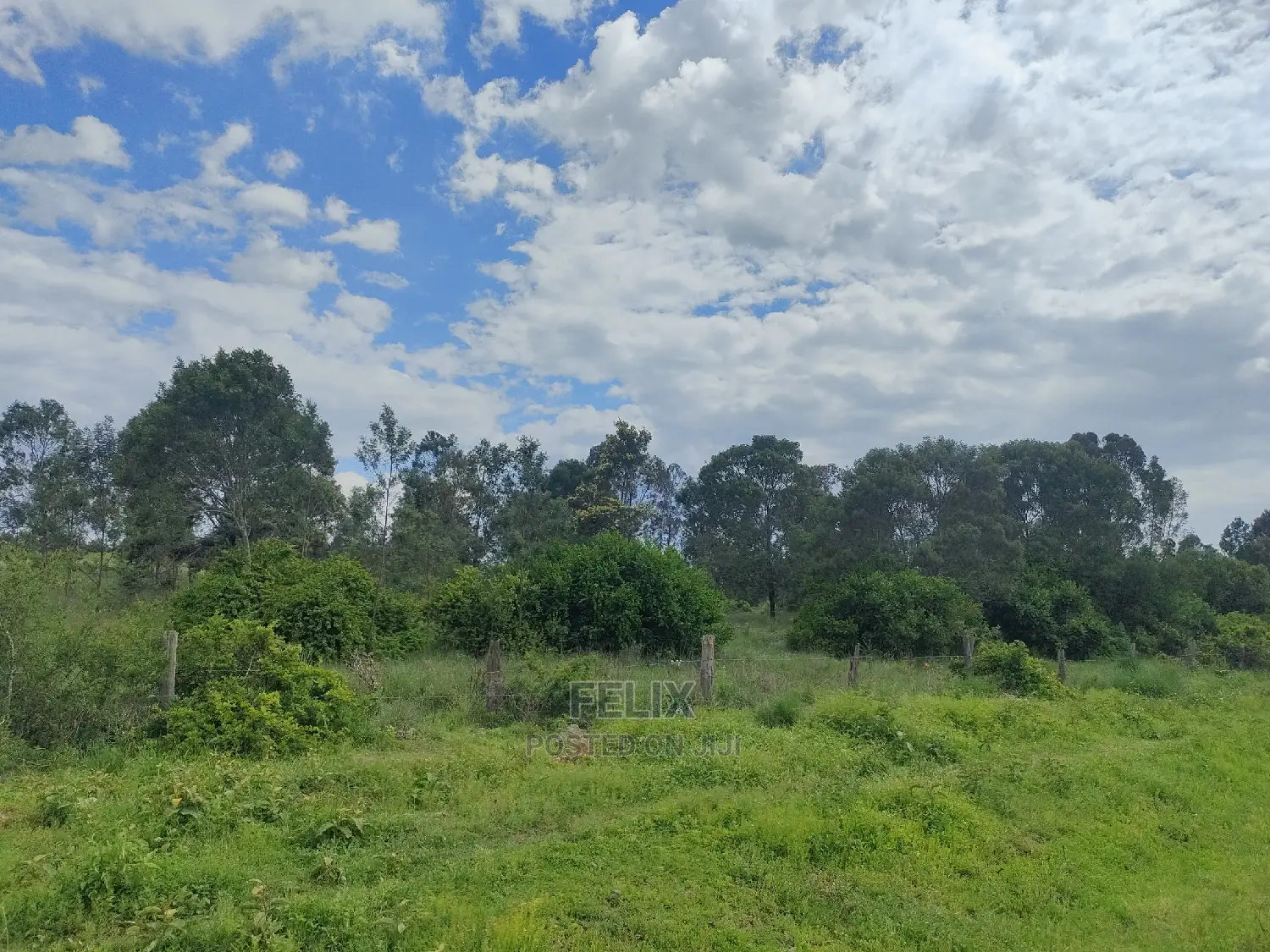 4 Acres Chaka/Kalicheni in Kieni Land & Plots for Sale, Felix Wanjohi