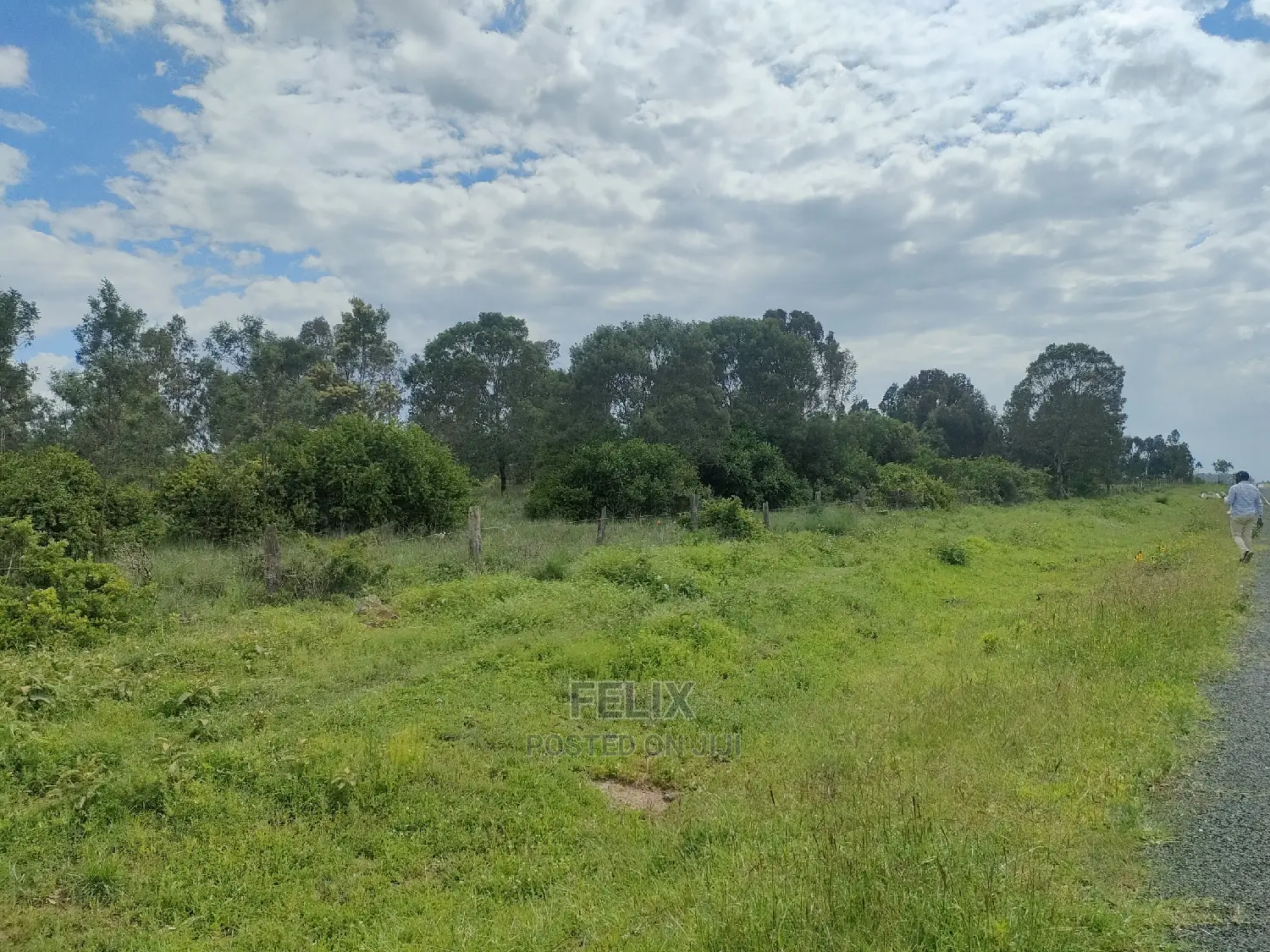 4 Acres Chaka/Kalicheni in Kieni Land & Plots for Sale, Felix Wanjohi