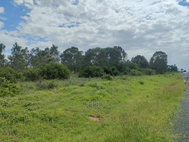 4 Acres Chaka/Kalicheni - thumbnail 17
