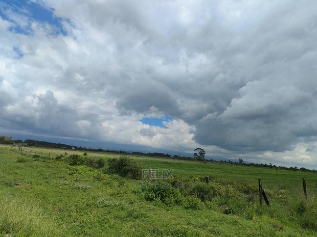 4 Acres Chaka/Kalicheni - thumbnail 18