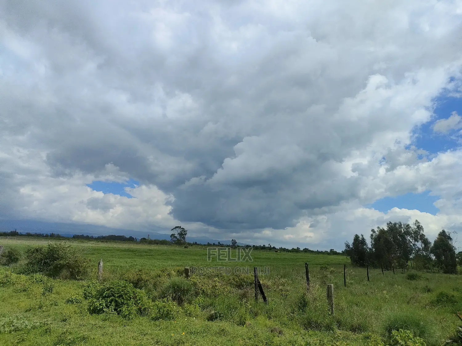 4 Acres Chaka/Kalicheni