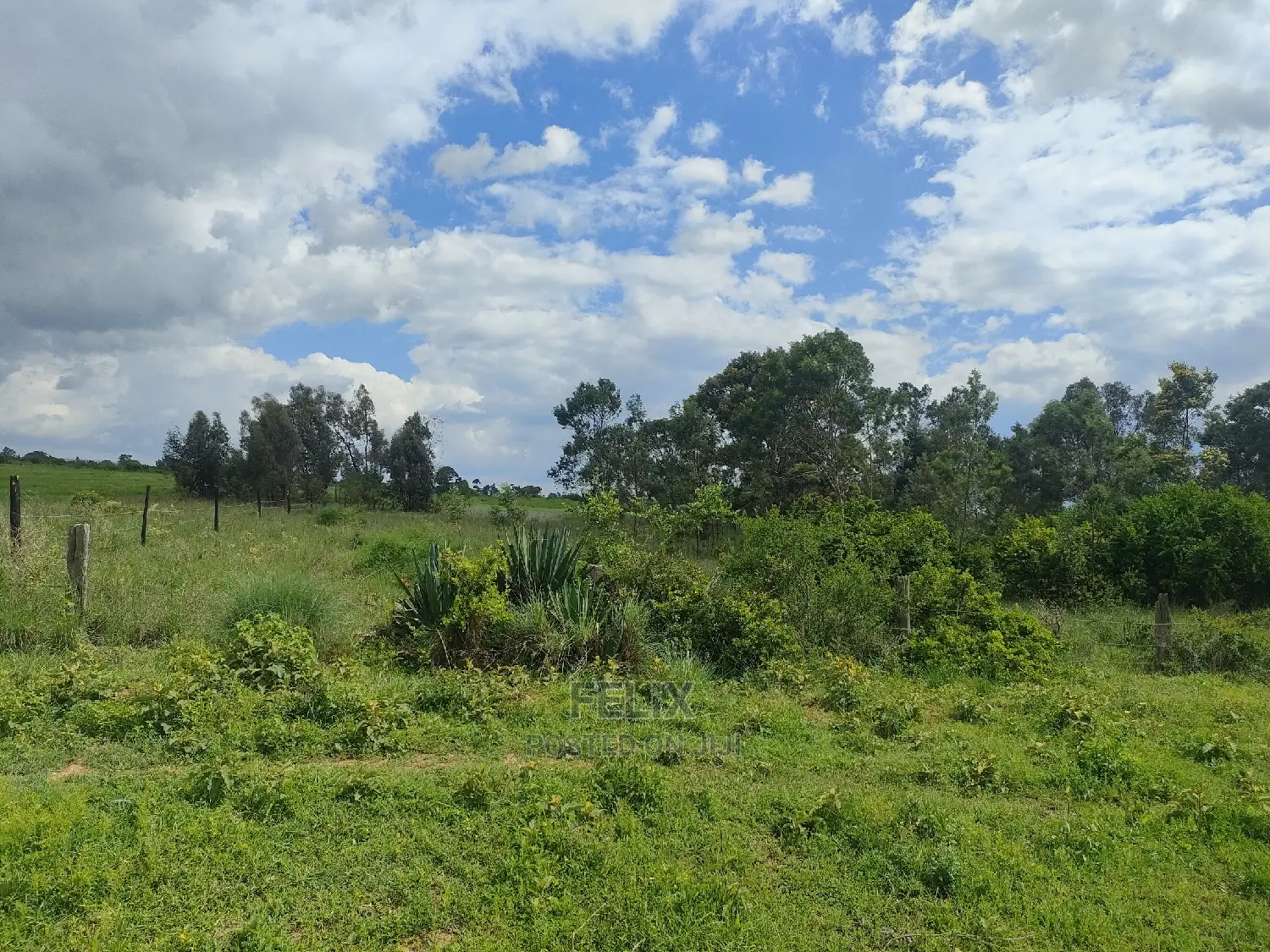 4 Acres Chaka/Kalicheni