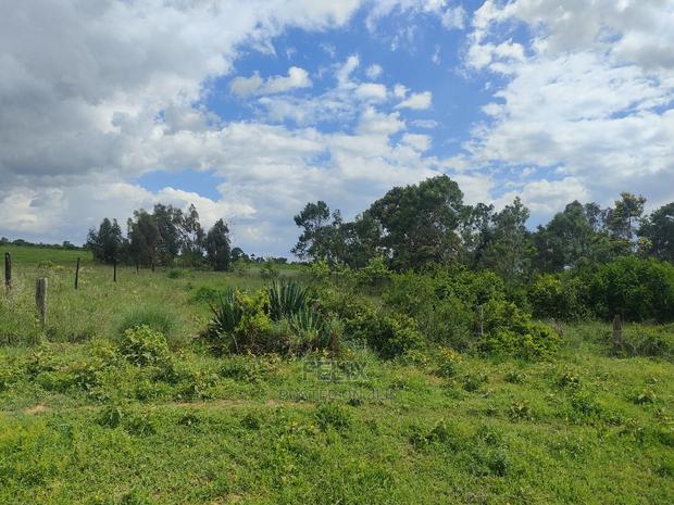 4 Acres Chaka/Kalicheni - thumbnail 20