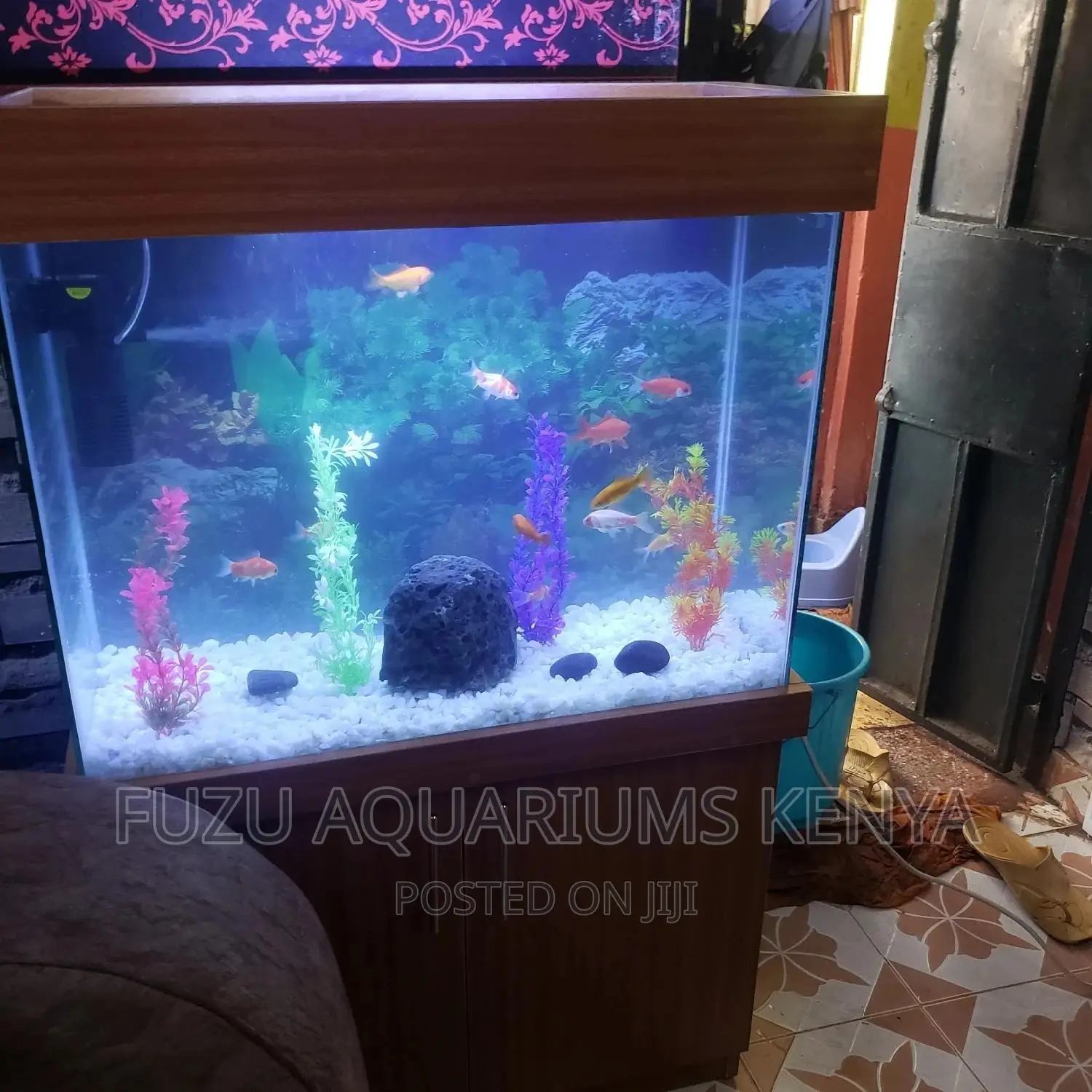 Aquarium With Complete Deco