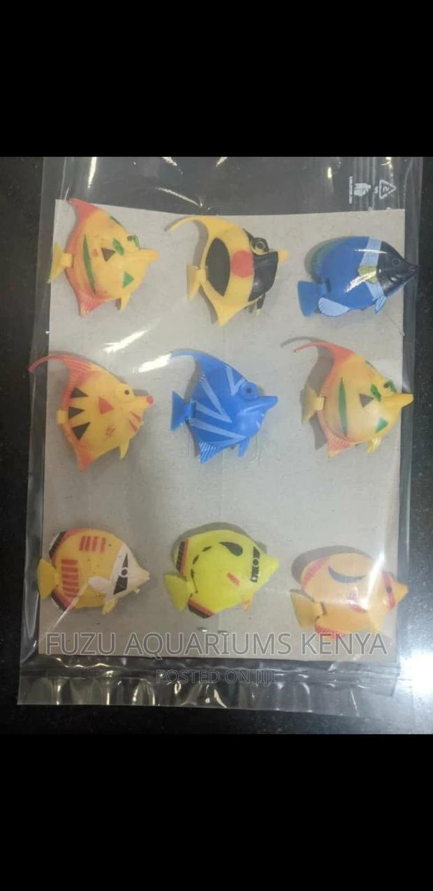 Plastic Fish Available - main view