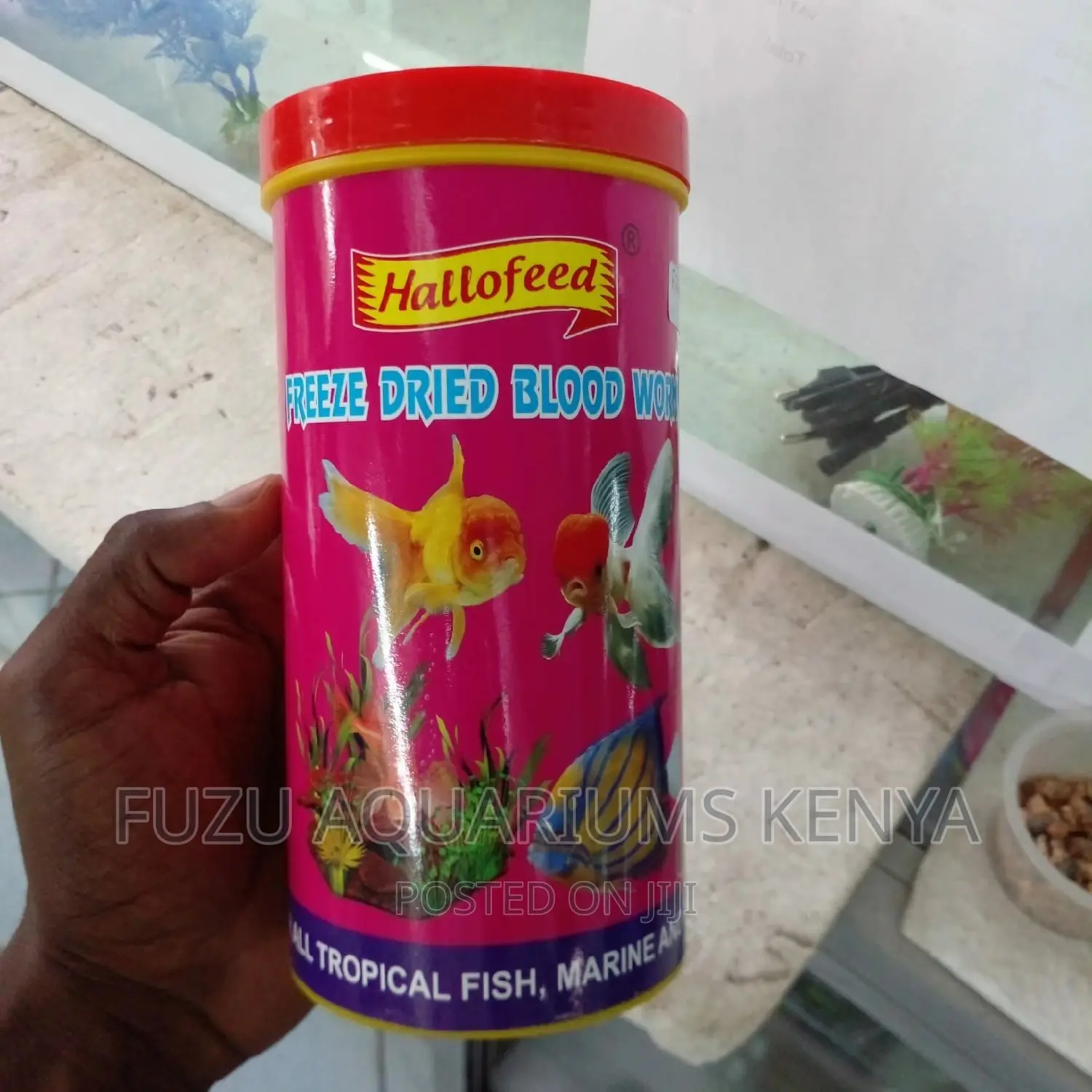 Blood Worms Dried for Fish