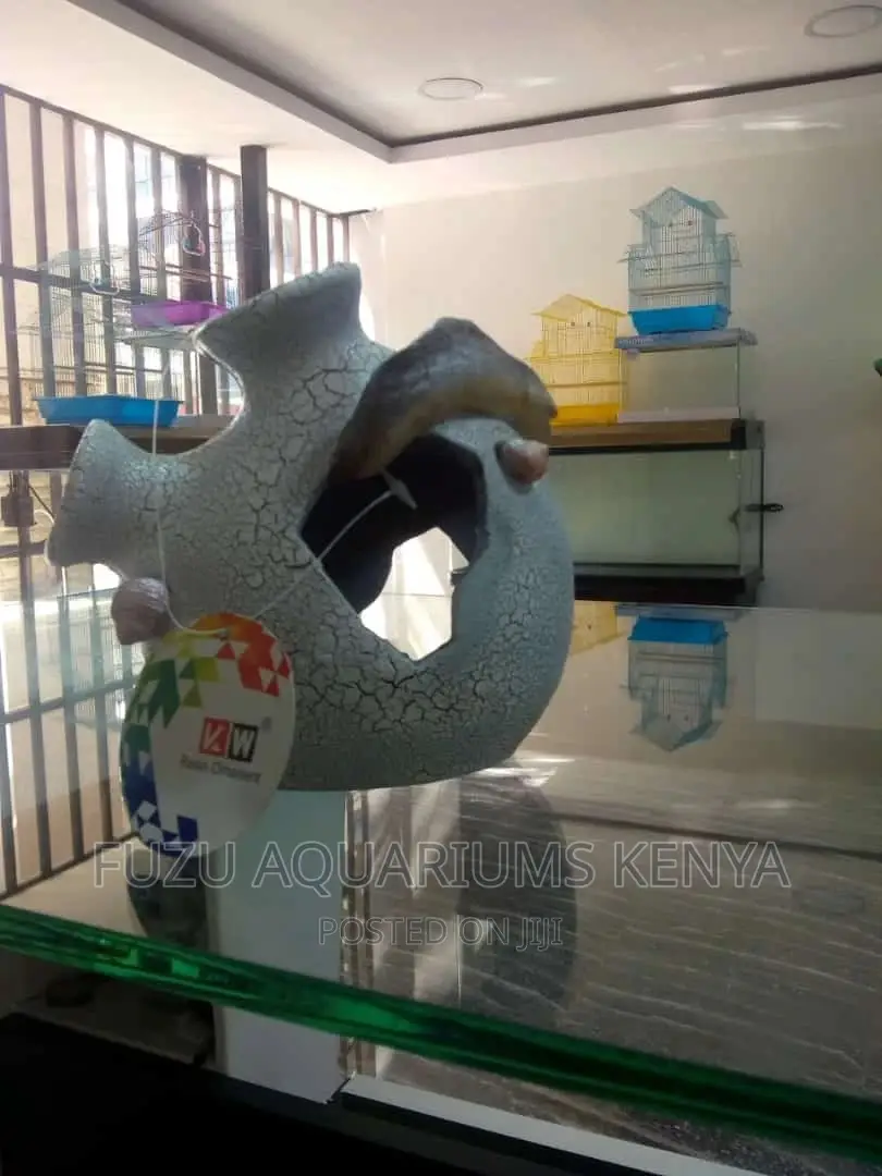 Aquarium Ornaments (Decorative)