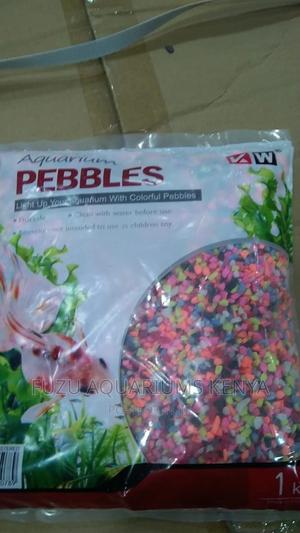 Coloured Gravel Aquarium - thumbnail 2