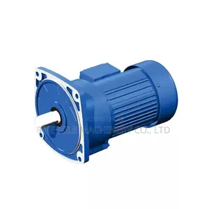 Vertical AC Electric Motor