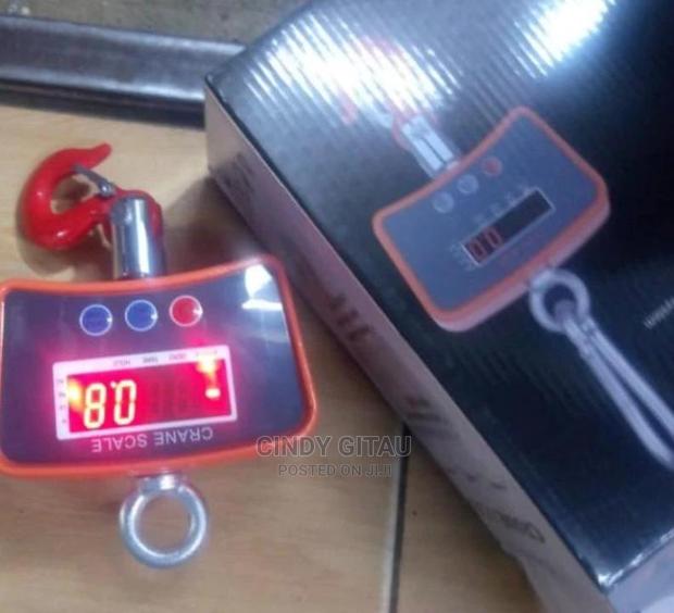 500kgs Crane Hanging Scale