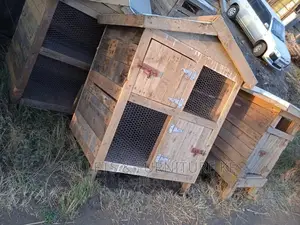 Double Layer Chicken Cage