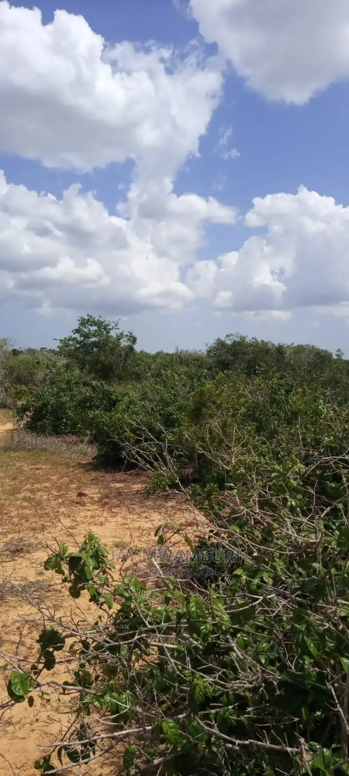 9 Acres Baolala Malindi