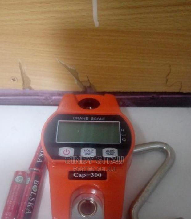 Powerful 300kgs Crane Scale
