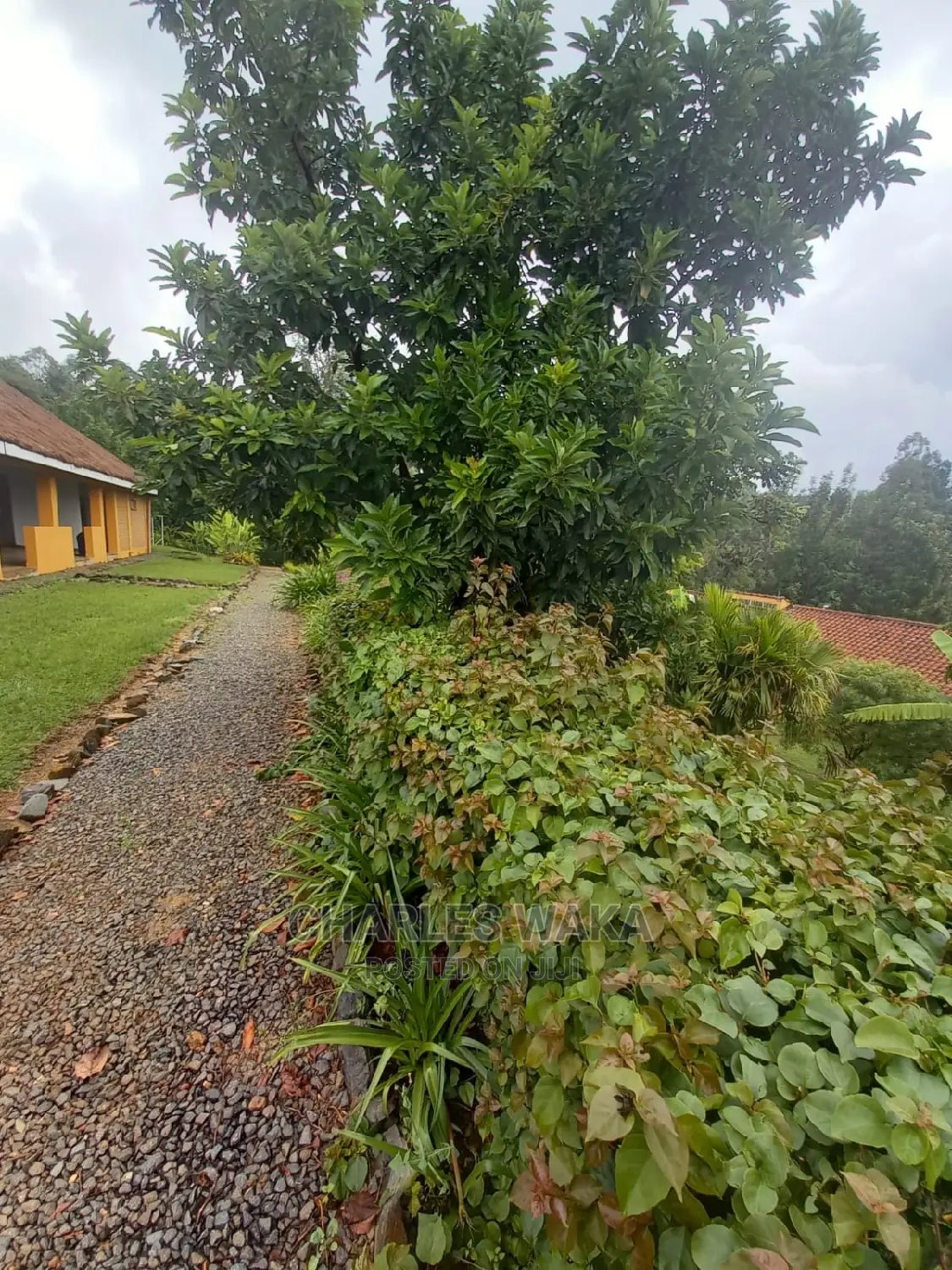 Residential Area Designing