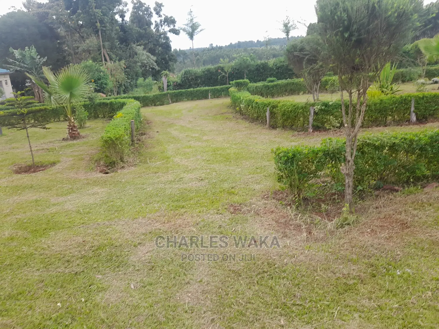 Residential Area Designing