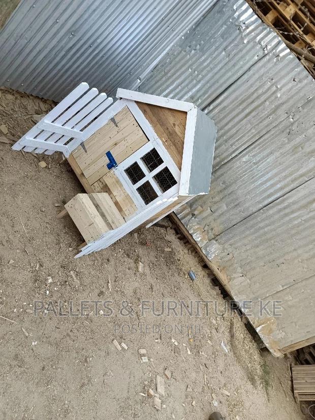 Cats and Kittens Cages - thumbnail 4