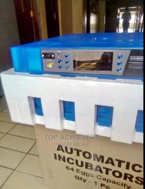 Long Lasting Egg Incubators - main view