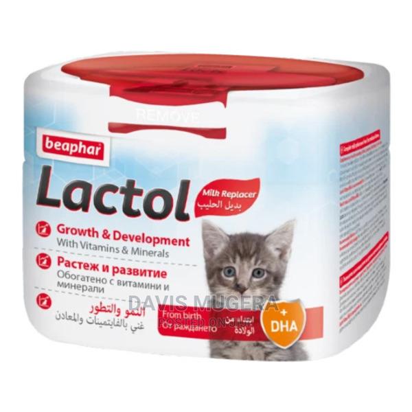 Beaphar Lactol Kitten Milk Replacer - main view