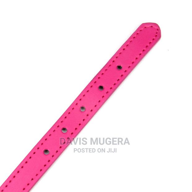 Petsmart PU Leather Cat Collar With Bell - thumbnail 3