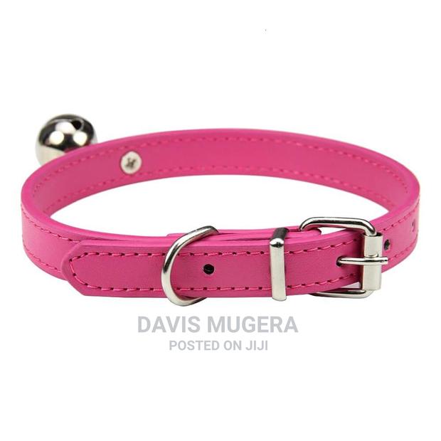 Petsmart PU Leather Cat Collar With Bell - thumbnail 2