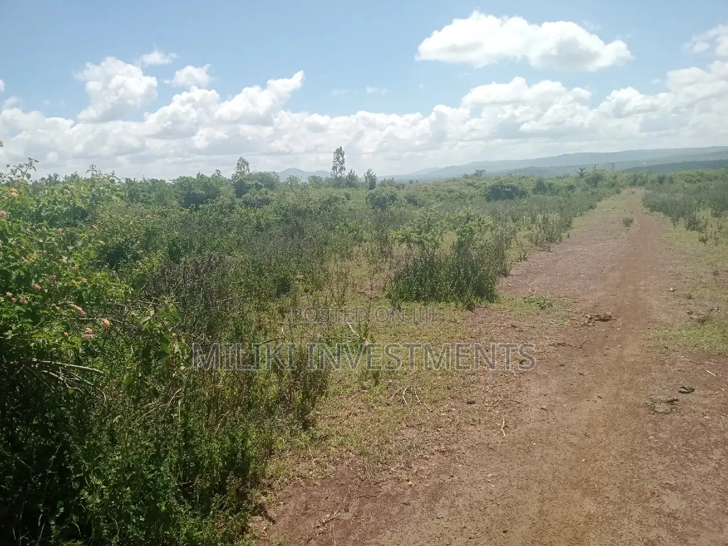 10 Acres of on Land on Sale at Makutano.
