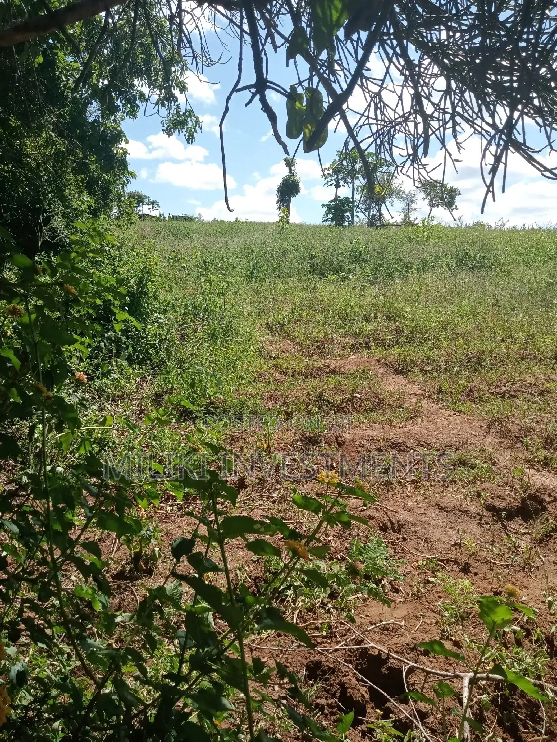6 Acres on Sale at Makutano