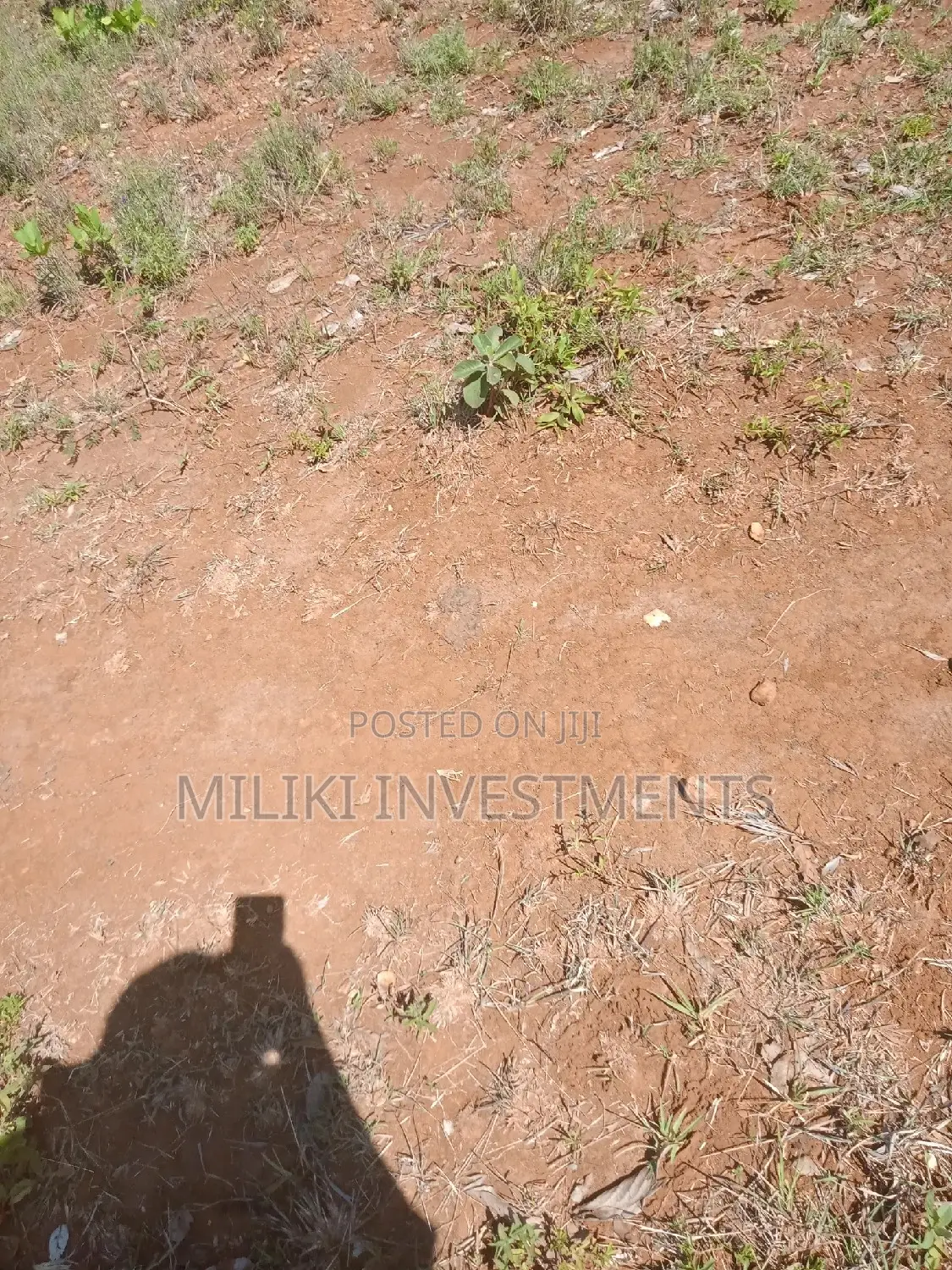 6 Acres on Sale at Makutano