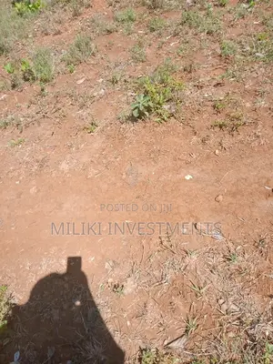 6 Acres on Sale at Makutano