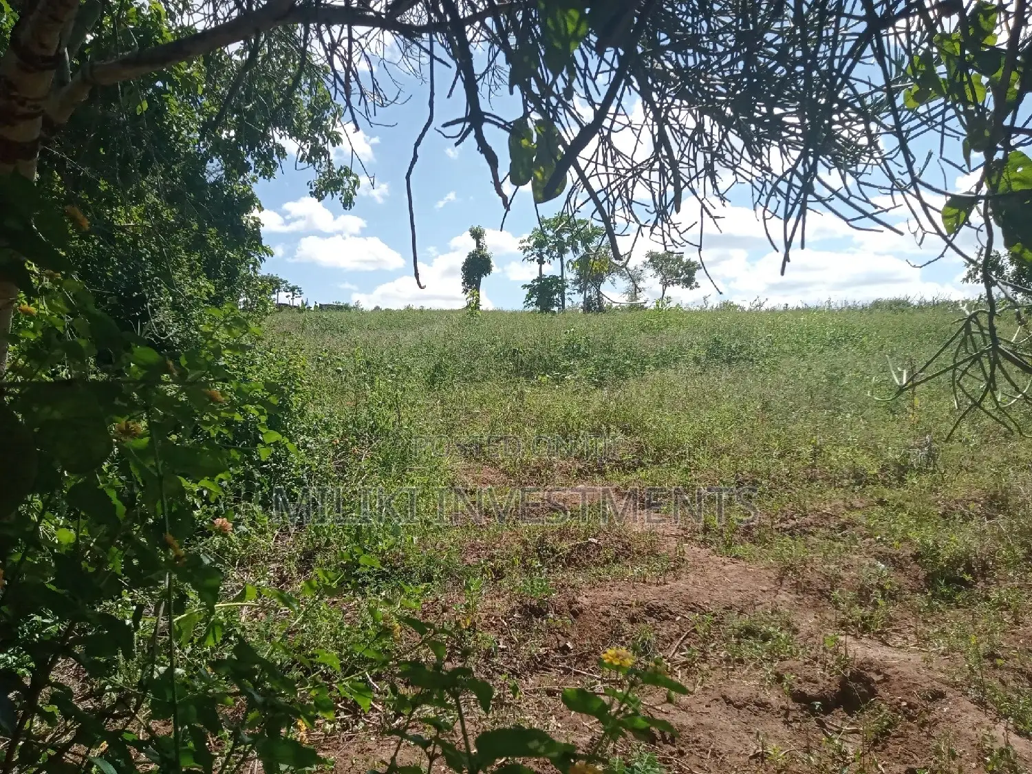 6 Acres on Sale at Makutano