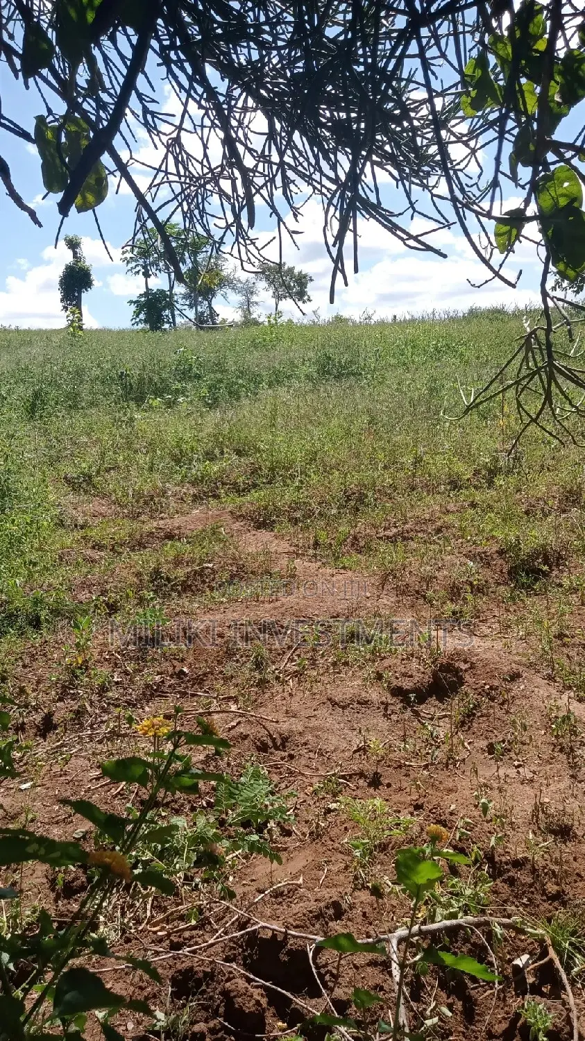 6 Acres on Sale at Makutano