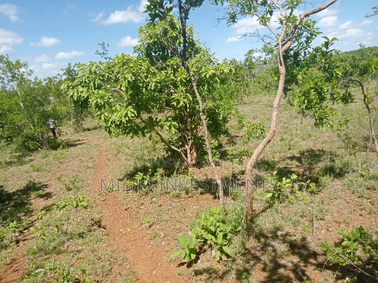 6 Acres on Sale at Makutano