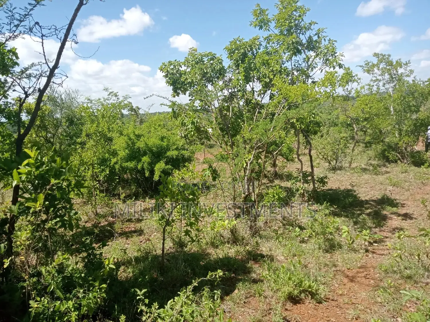 6 Acres on Sale at Makutano
