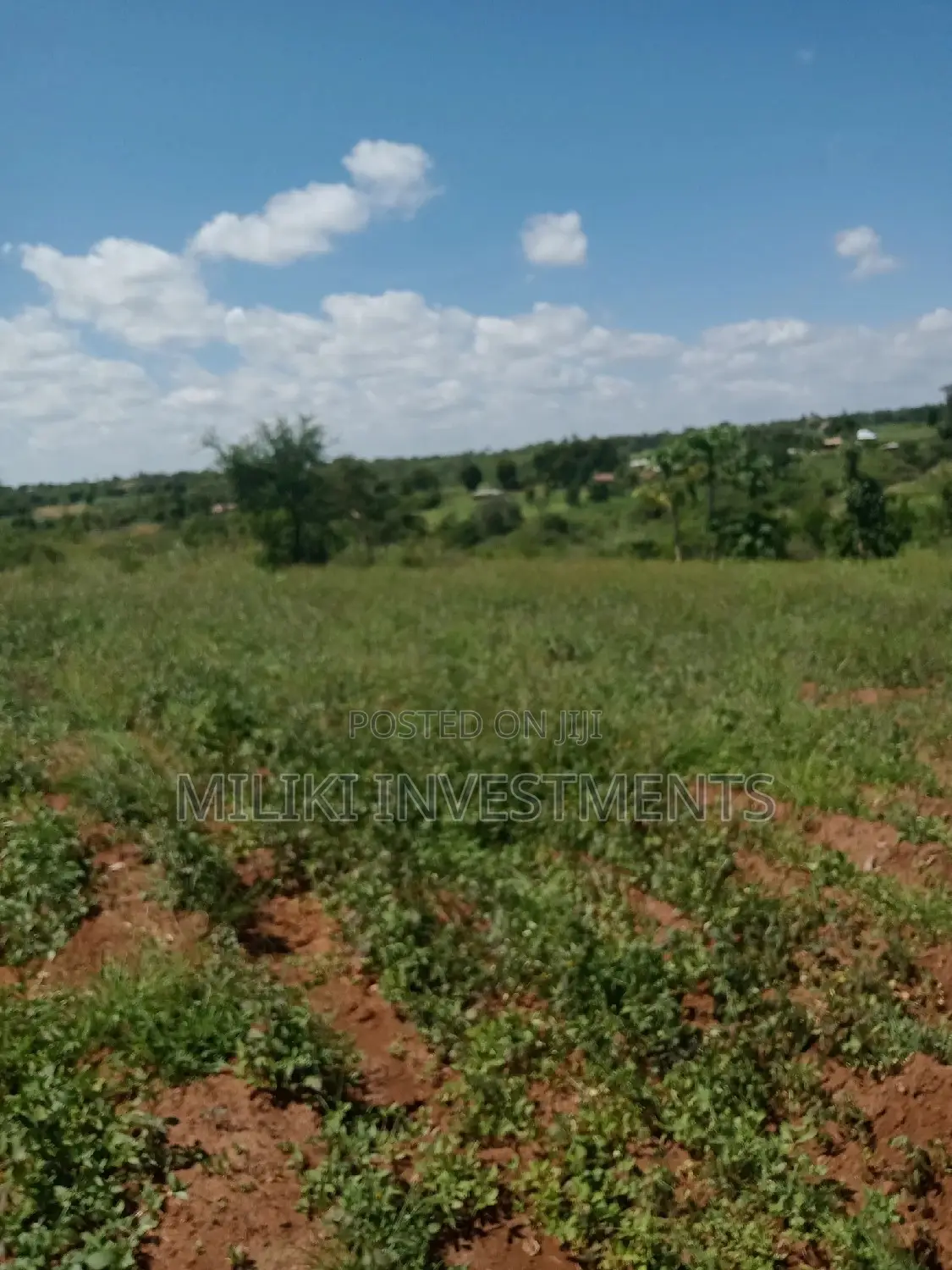 6 Acres on Sale at Makutano