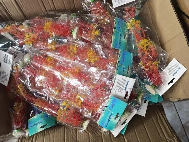 Orange Aquarium Plants - main view