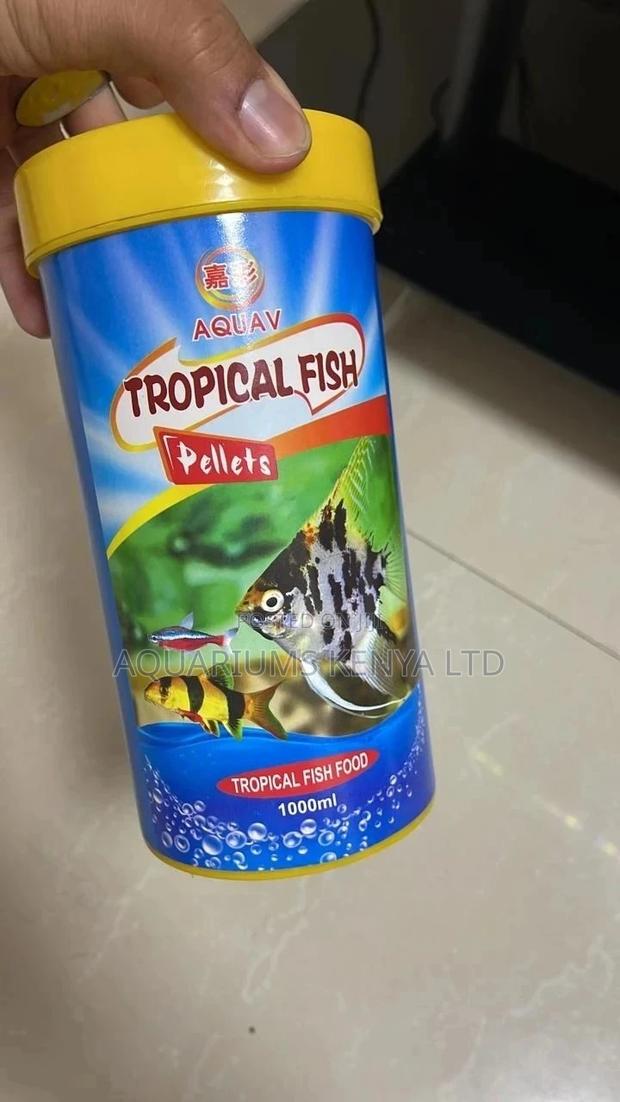 Food for Aquarium Fish - main view