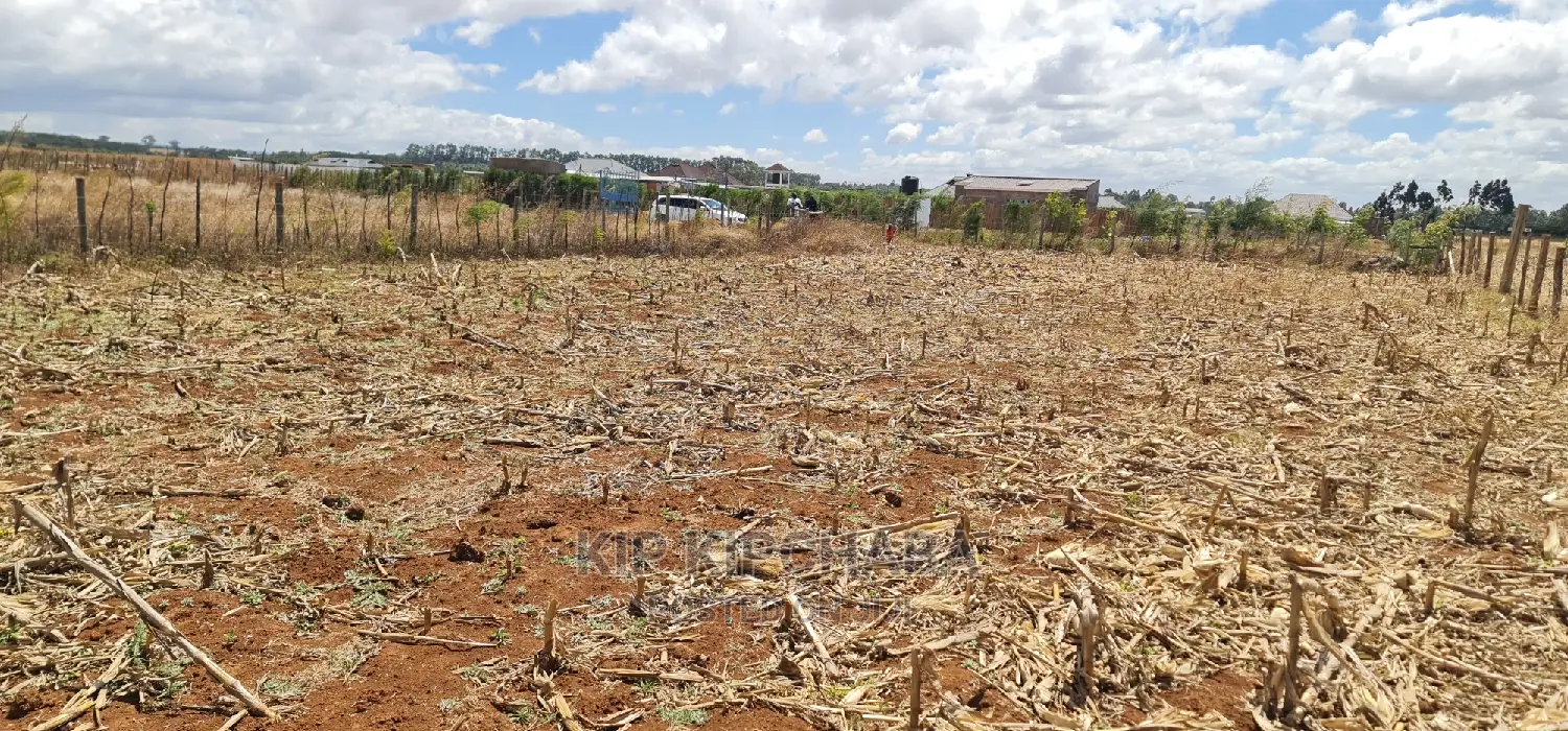 Big 1⁄4 Plot for Sale in Chepkanga Mwisho Wa Lami Eldoret