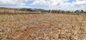 Big 1⁄4 Plot for Sale in Chepkanga Mwisho Wa Lami Eldoret - thumbnail 2